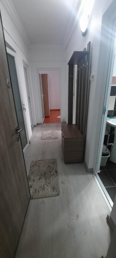 Apartament La Denis Birlad Exterior photo